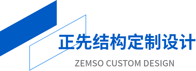 定制化技术服务