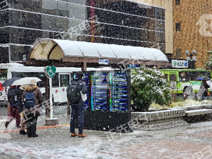 日本2.png