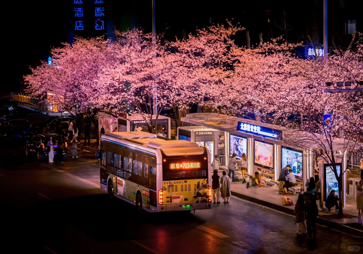 收集 (1).jpg