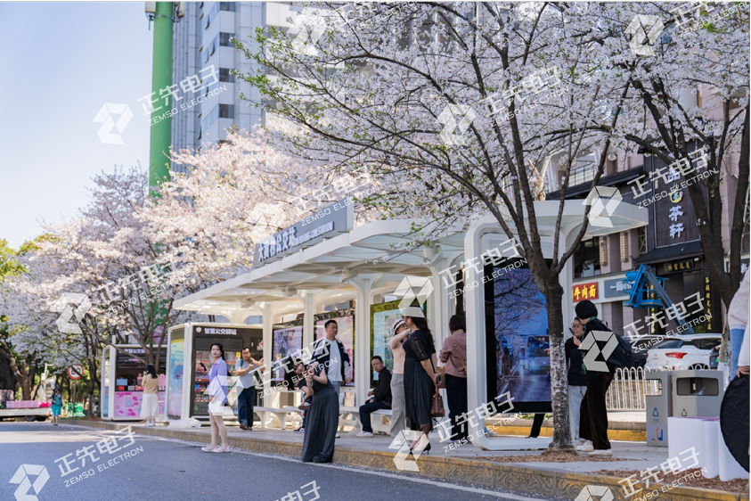 202506161750067582695081404.png 图片1.png