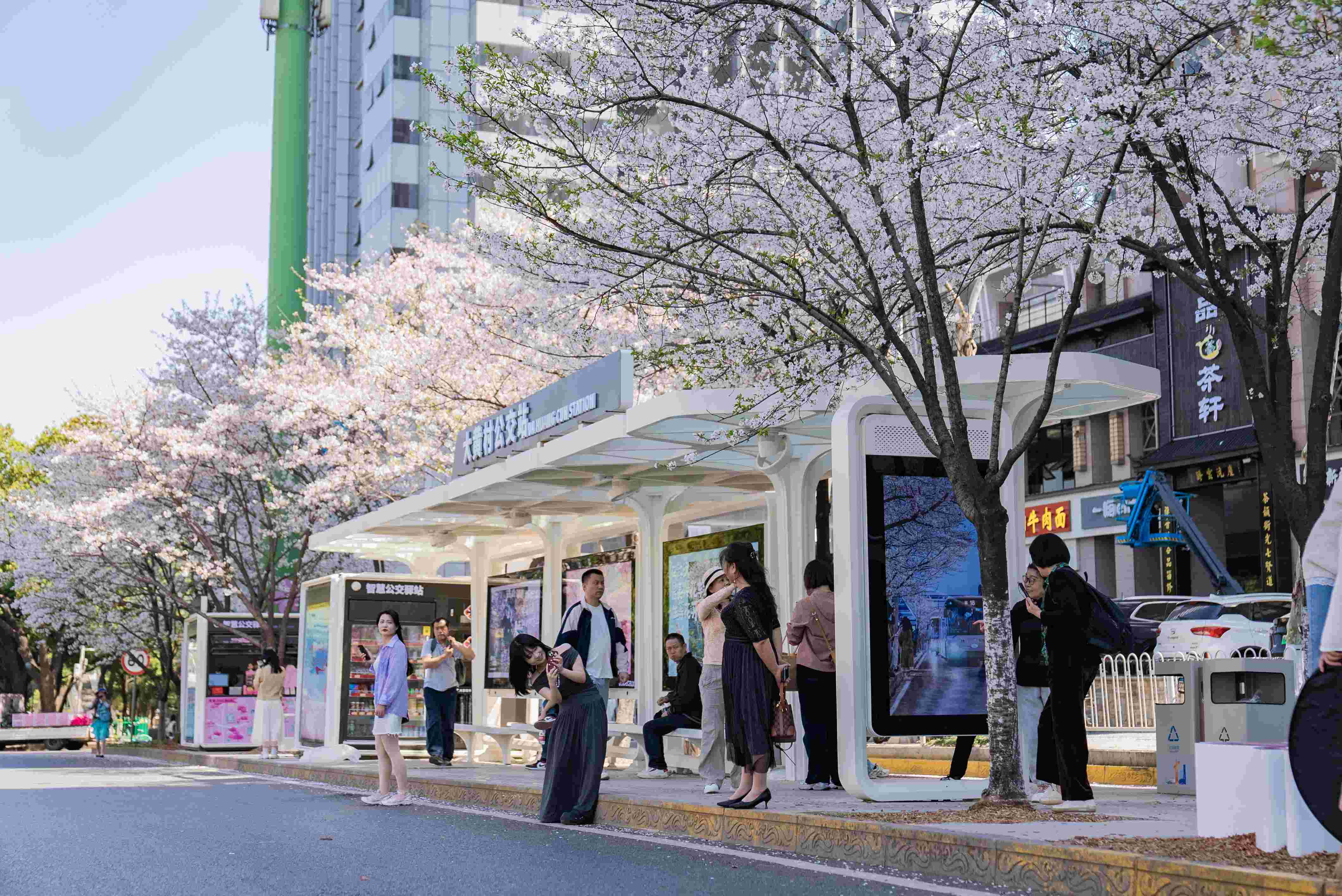 202605251779676182036096130.jpg min_DSC01000.jpg